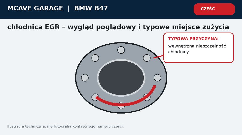 Bmw B47 Chlodnica EGR Ubytek Plynu i Ryzyko Uszkodzenia